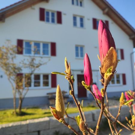 Ferienwohnung Viel Platz in Bernbach Bidingen Exterior foto